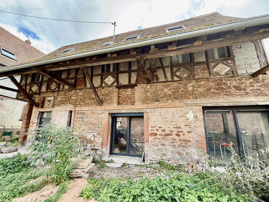 Appartement à INGWILLER