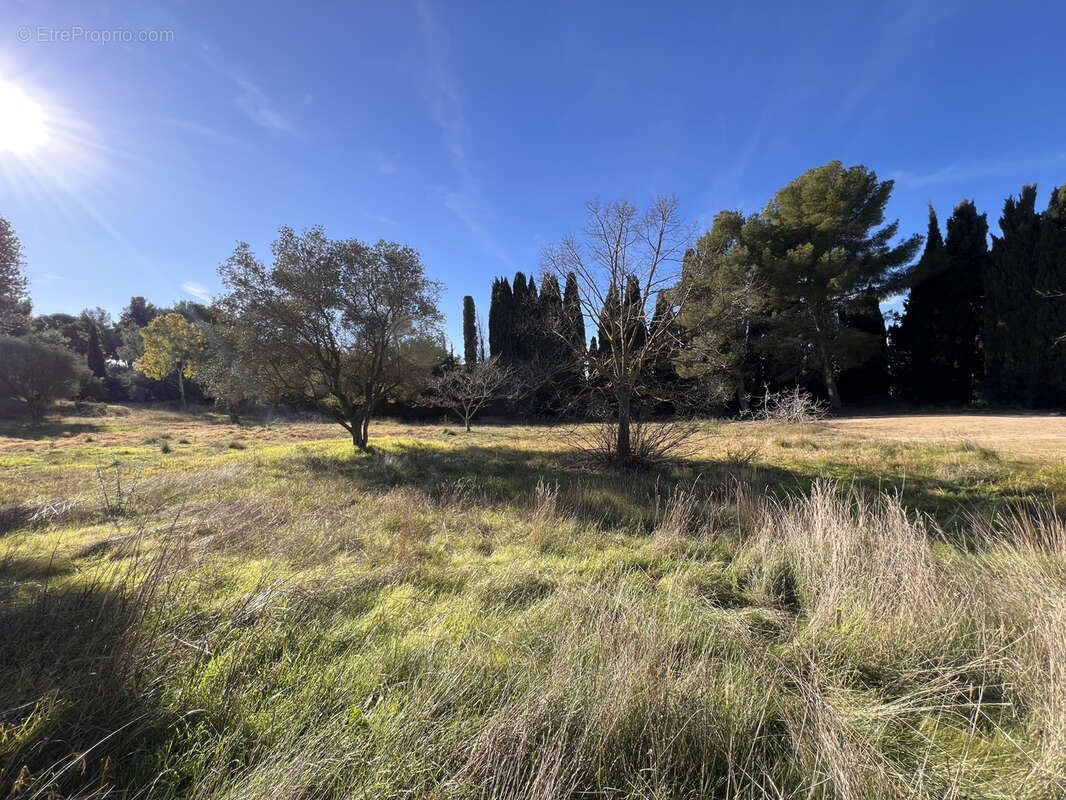 Terrain à SANARY-SUR-MER