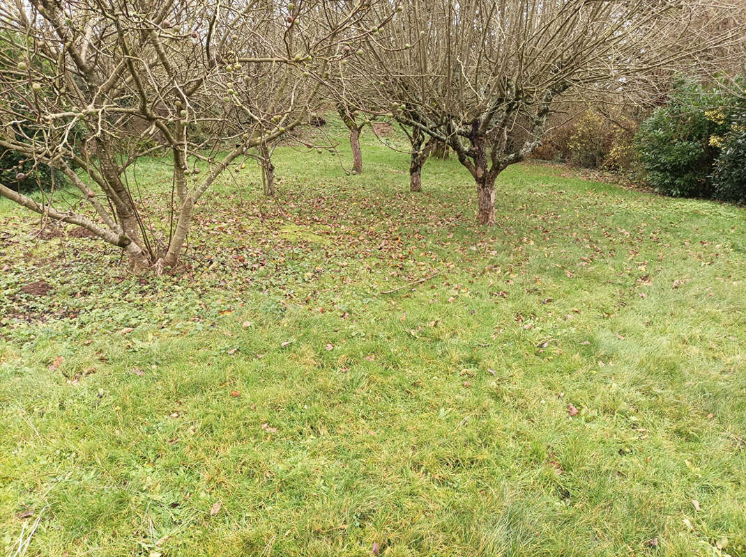 Terrain à MONTOURS