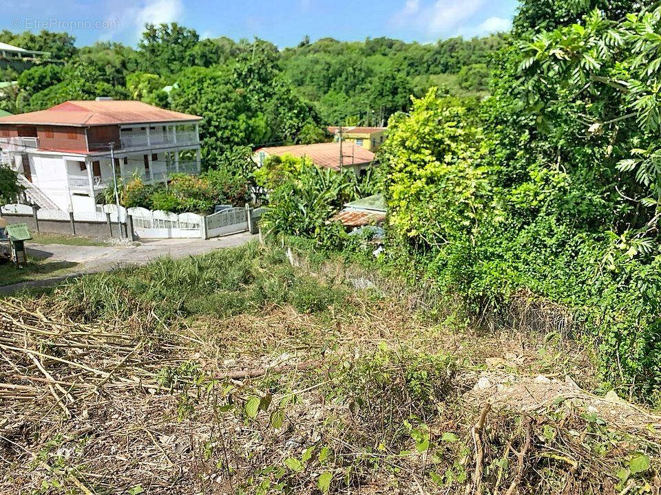 Terrain Le Gosier 703 m2 - photo 2