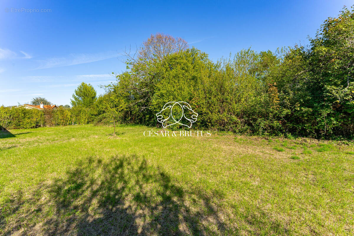 Terrain à SAINTE-FOY-LES-LYON