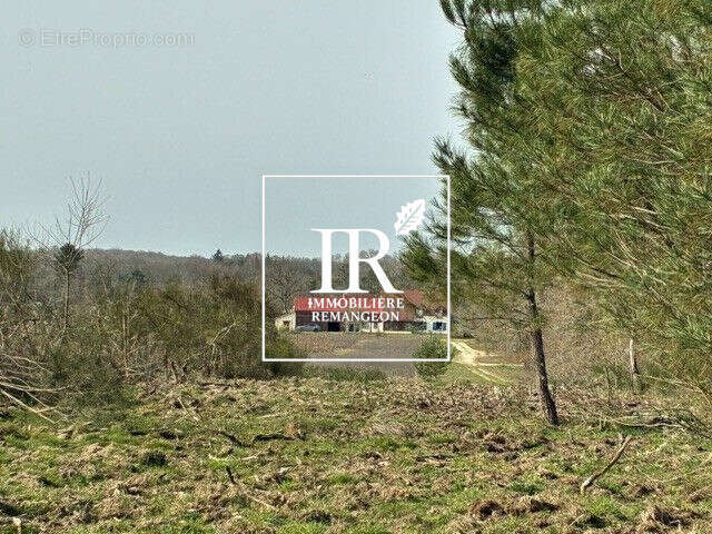 Maison 230 m² à Lamotte-Beuvron  - photo 4