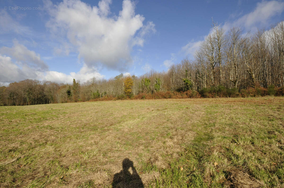 Terrain à VICQ-SUR-BREUILH