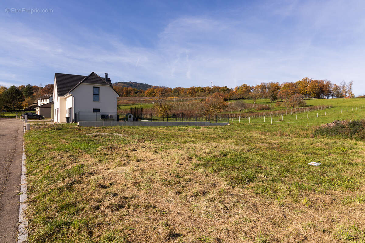 Terrain à WUENHEIM