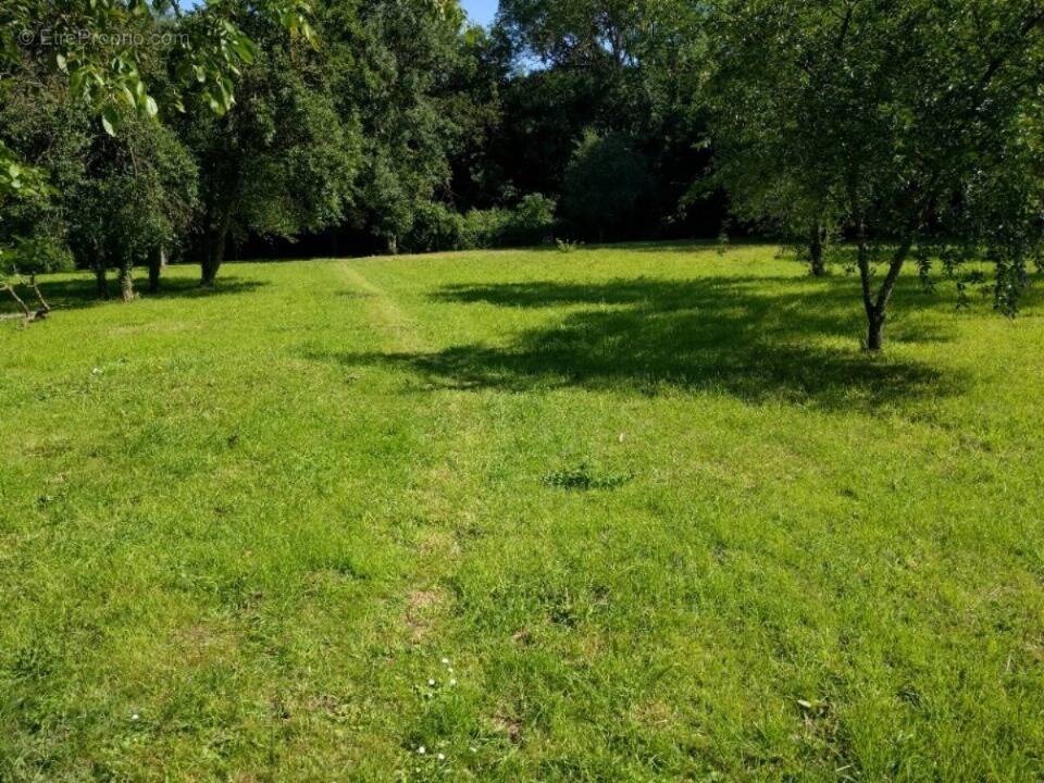Terrain à CLAYE-SOUILLY