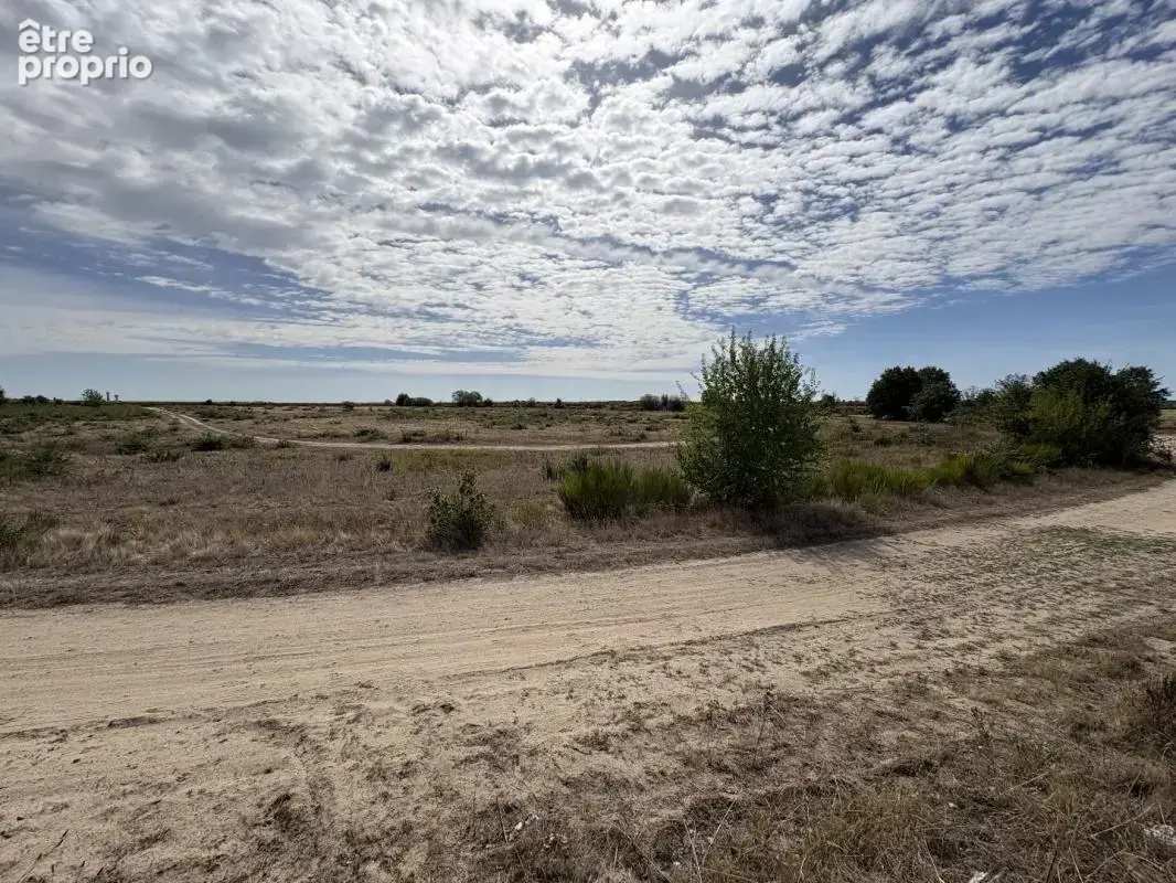 Terrain agricole - photo 5