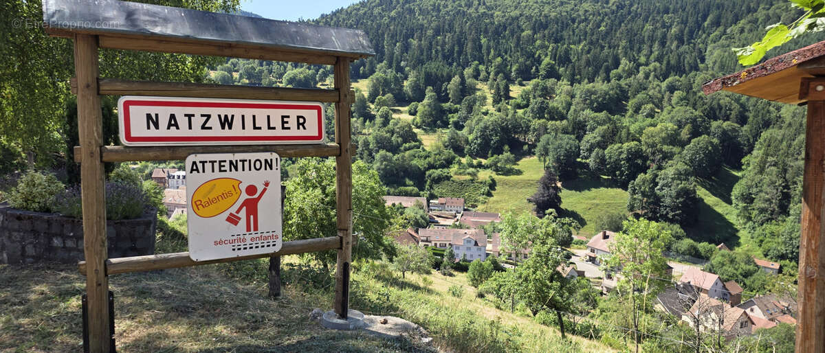 Natzwiller, exceptionnel, terrain à bâtir sur les hauteurs : projet de construction « Prêt à démarrer » avec v - photo 9