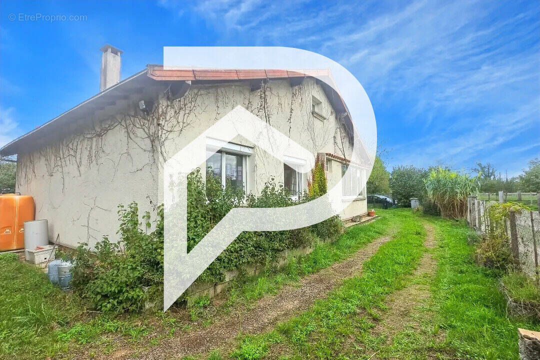 Maison à LISLE-SUR-TARN