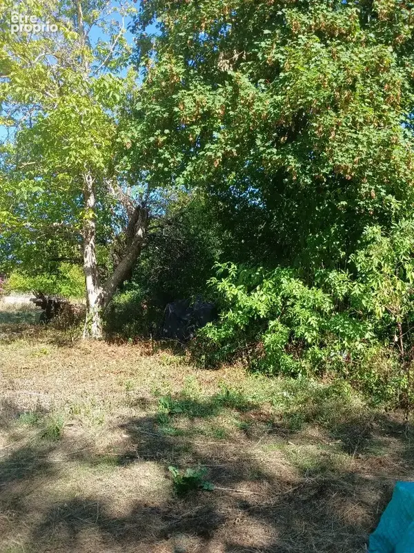 Terrain constructible - photo 11