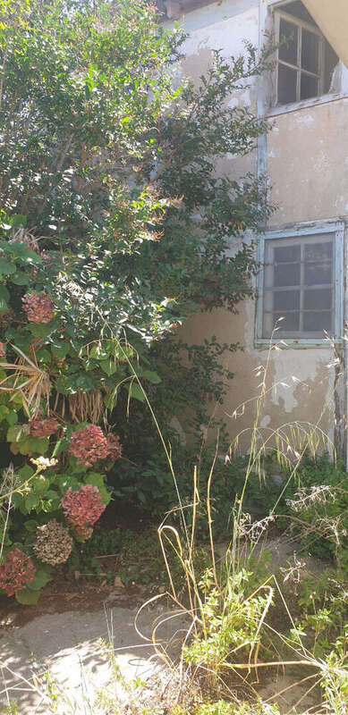 Maison Ars En Re 4 pièce(s) 45 m2 et dépendance - photo 3