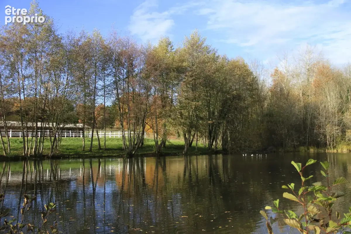 Prestigieux domaine équestre situé sur 41 hectares avec un lac - photo 21
