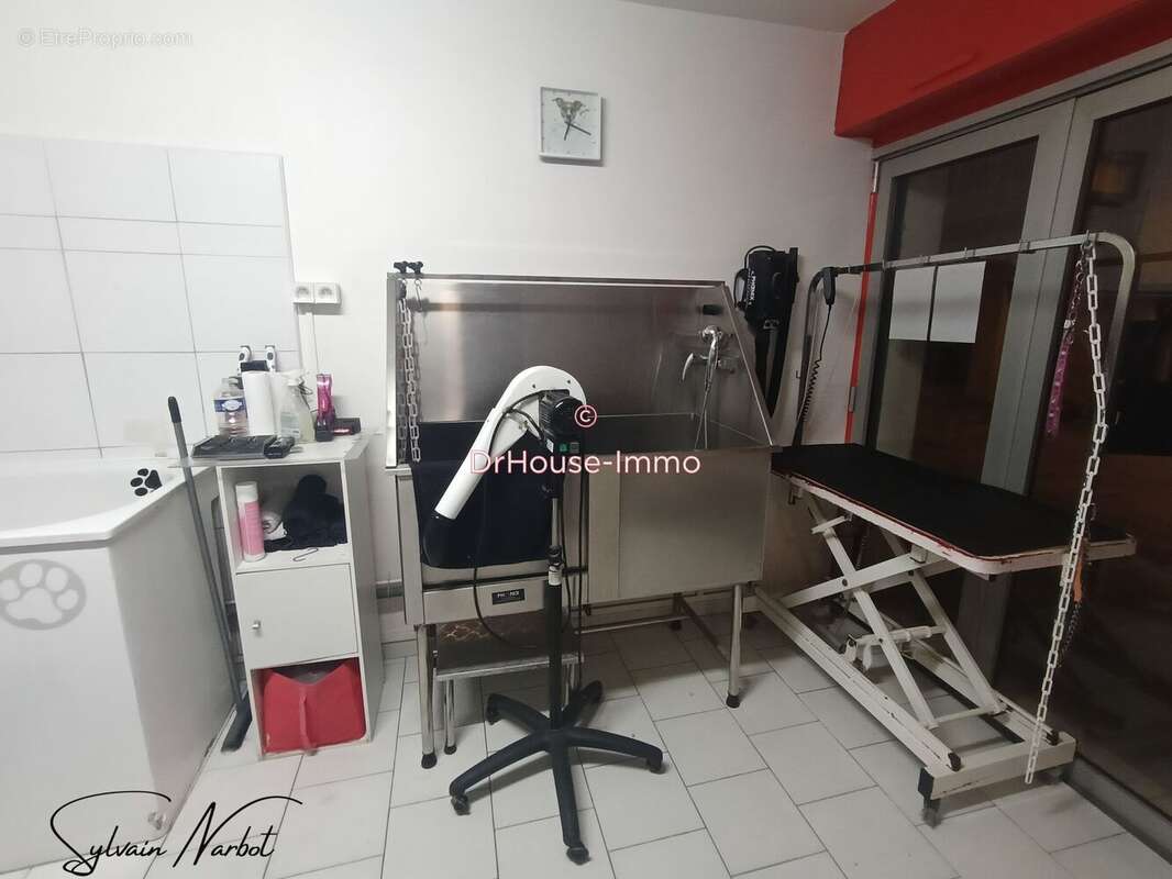 Commerce à LE GRAU-DU-ROI