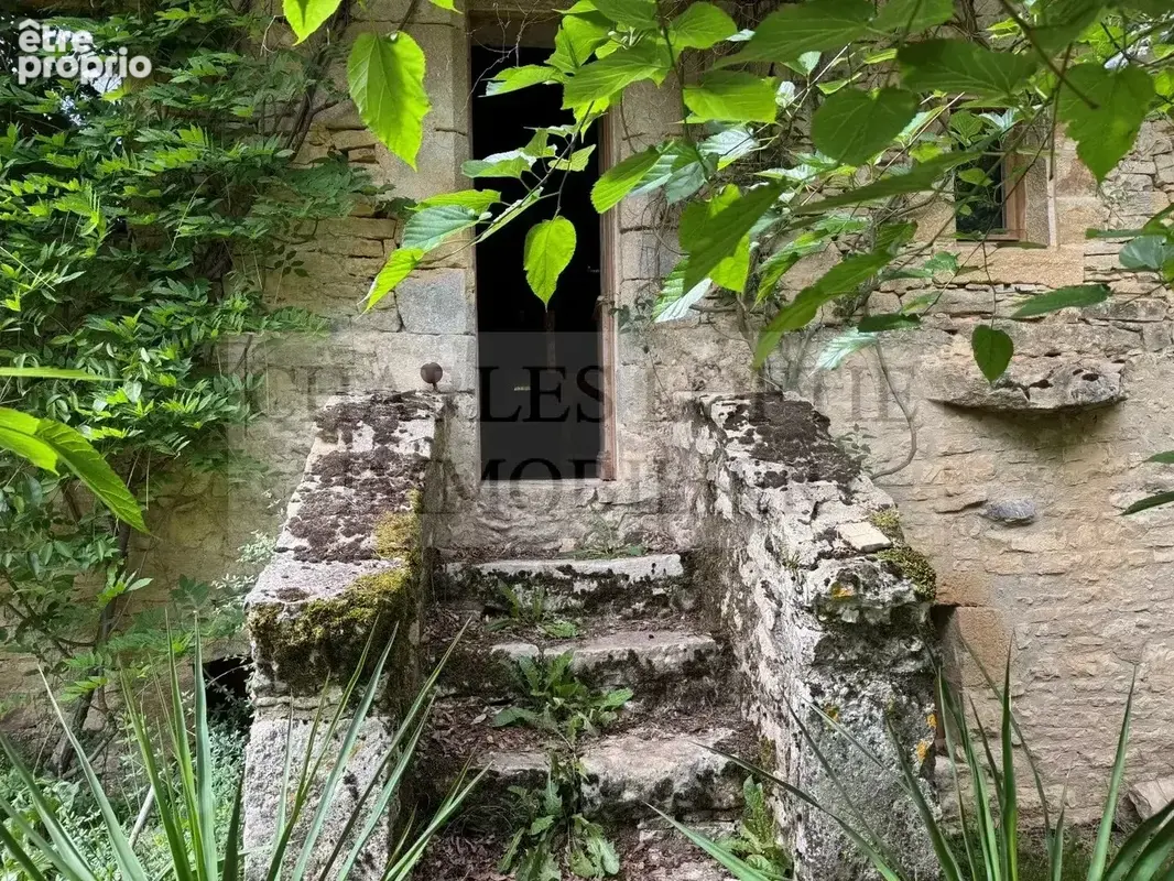 Charmante maison de village en pierre avec terrain arboré de 2400 m² - photo 22