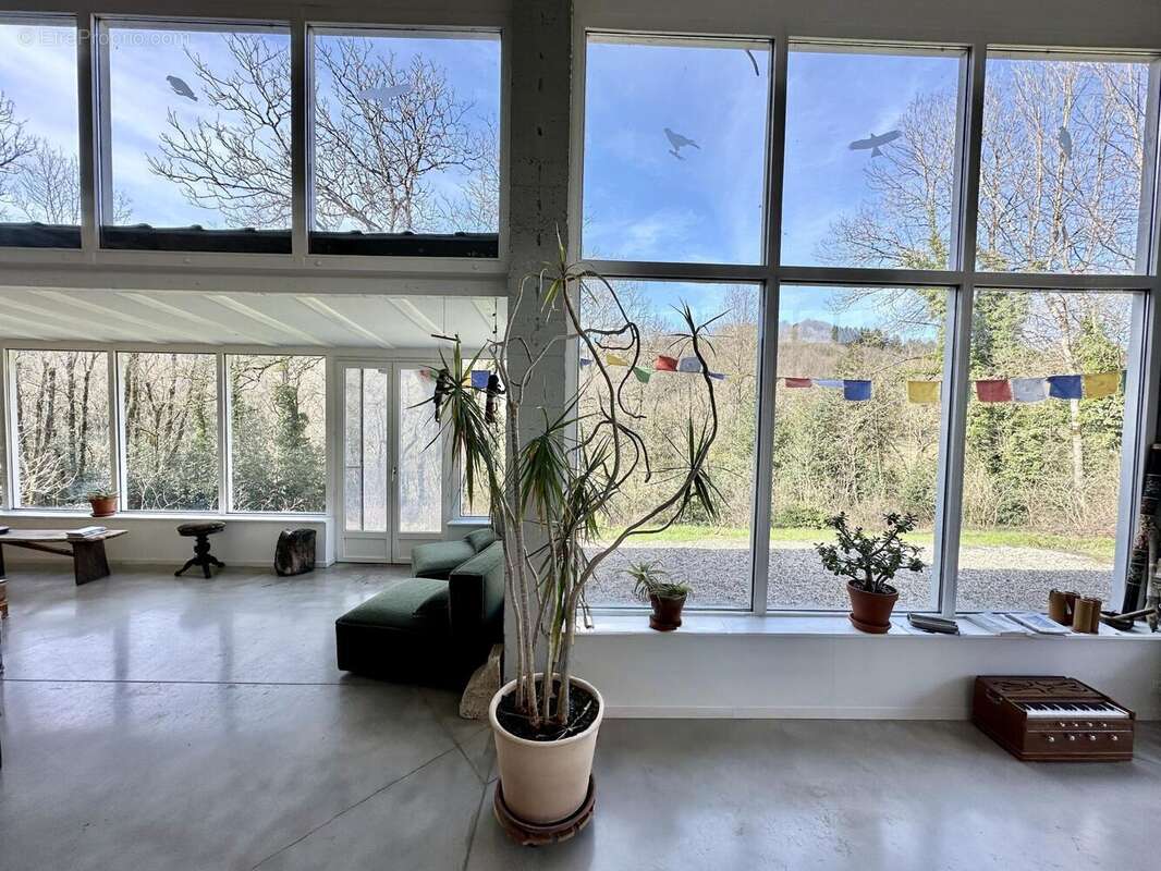Maison 440 m² à Le Masnau-Massuguies  - photo 3