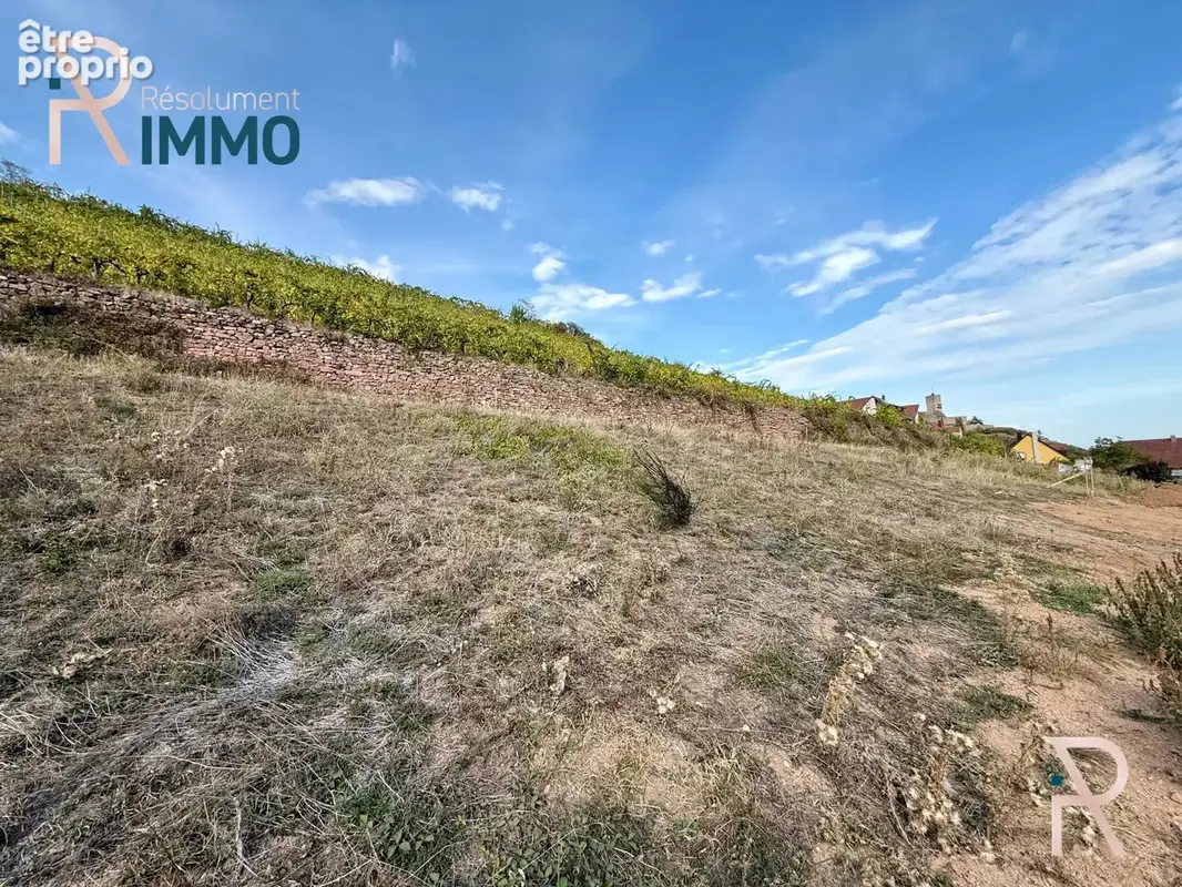 Terrain 887 m² à vendre à Katzenthal (68230) - photo 2