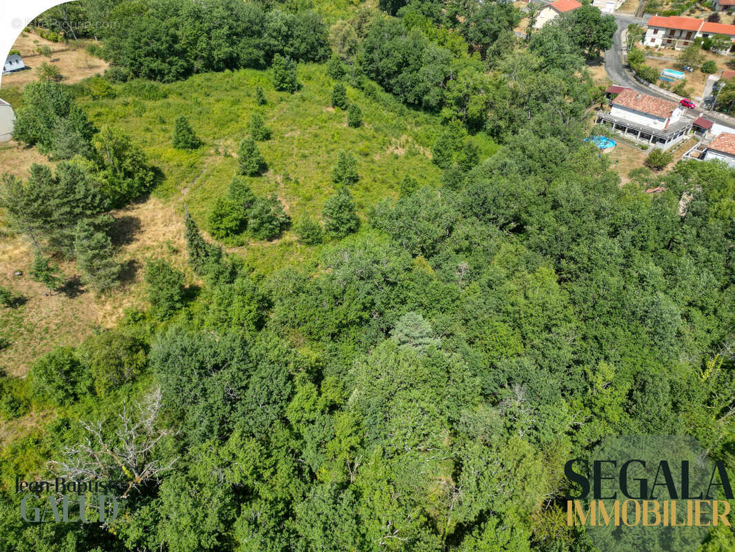 Terrain constructible de 4 526 m2 à Mirandol-Bourgnounac - photo 3