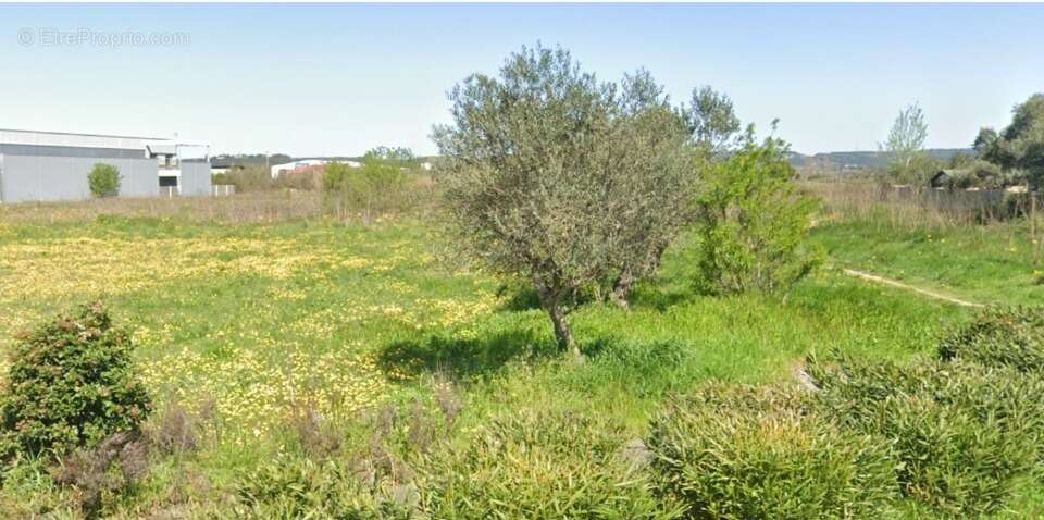 Terrain 174 m² à Remoulins  - photo 3