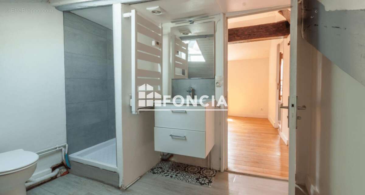 Exclusivite orleans proximite place du chatelet - photo 10