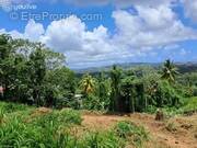 Terrain à LE LAMENTIN