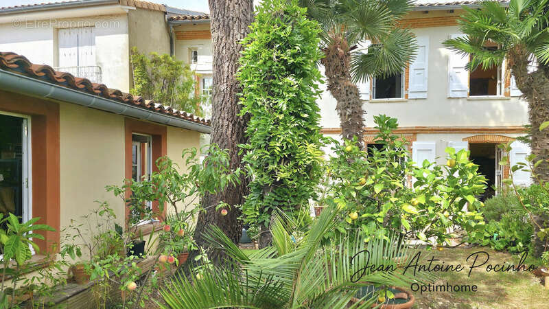 Maison de Maître à vendre 6 pièces SAINT THOMAS (31) - photo 61