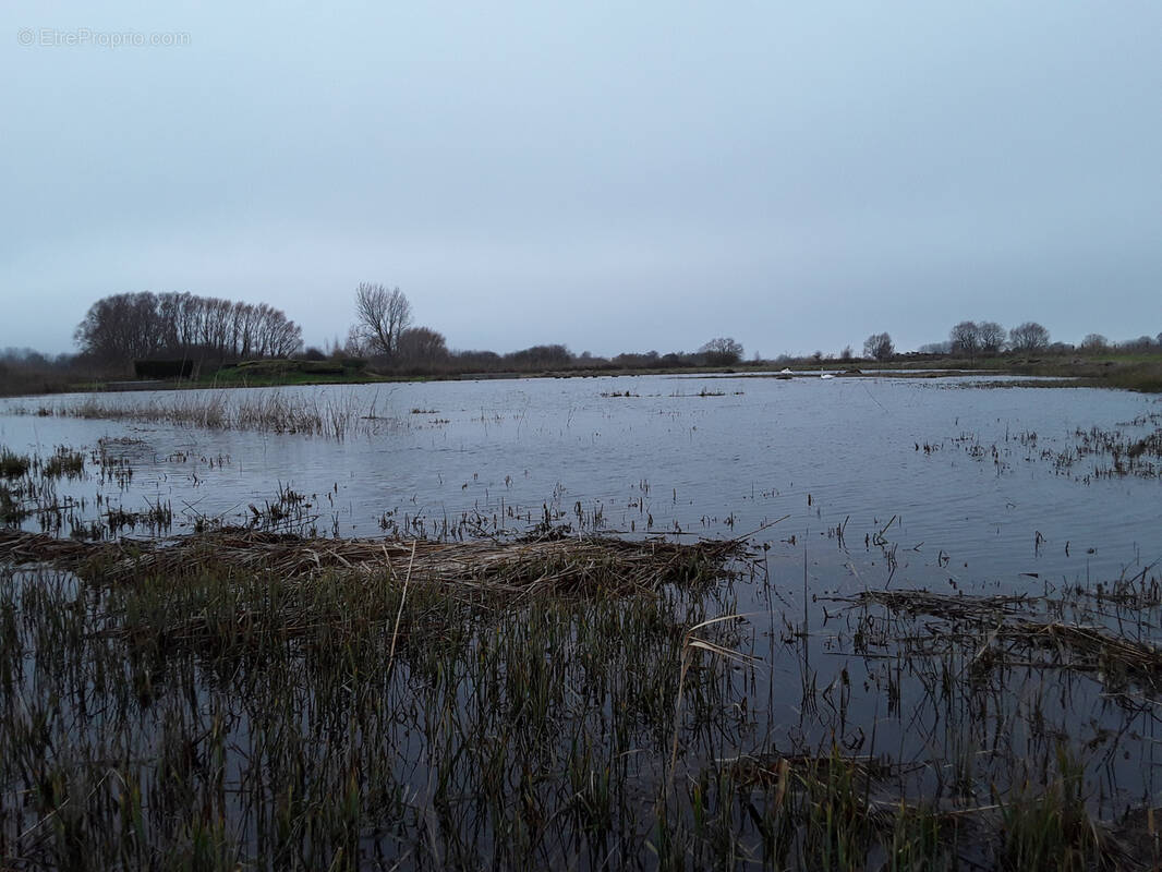 Terrain à LANCHERES