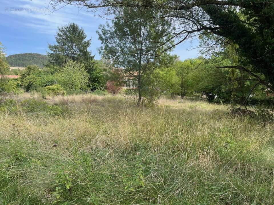 Terrain à AOUSTE-SUR-SYE