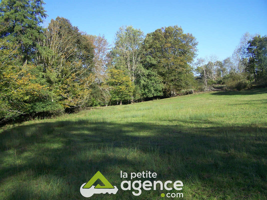 Terrain à LUSSAC-LES-EGLISES