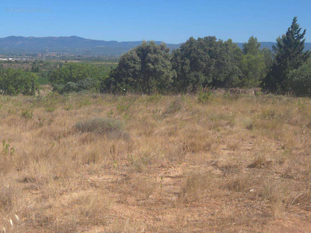 Escales ,10 mn de lezignan , terrain viabilise 1340 m2 - photo 6