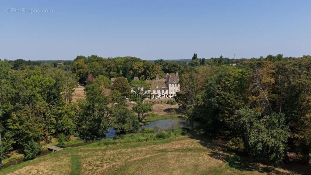 Chateau de caractere aux racines medievales entre patrimoine et art de vivre bourguignon - photo 23