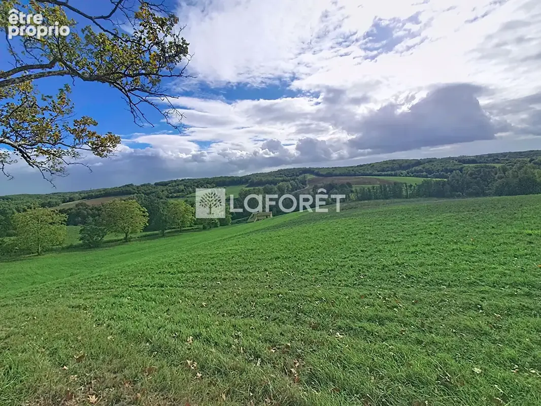 Propriété de 116 hectares !!!  20 minutes Est de Montauban - photo 9