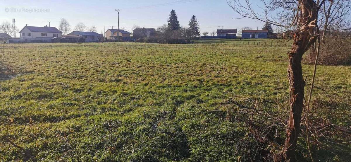 Terrain à MONS