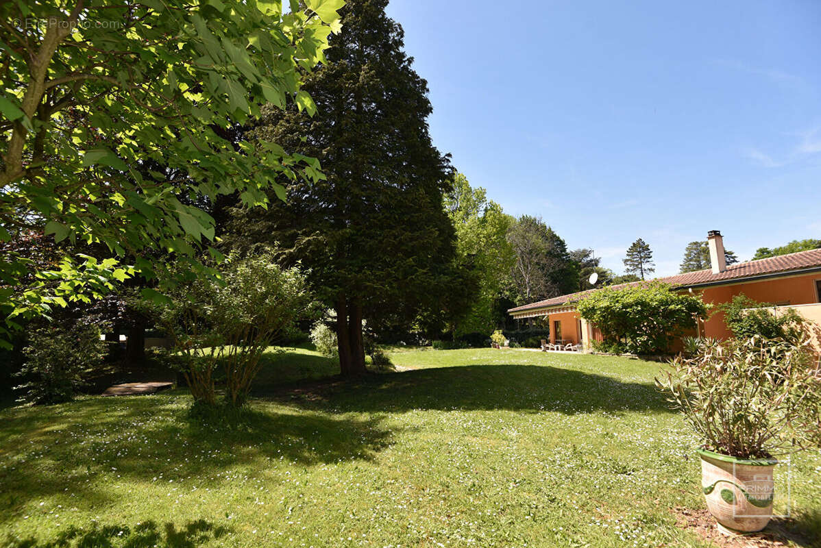 Maison à SAINT-CYR-AU-MONT-D'OR