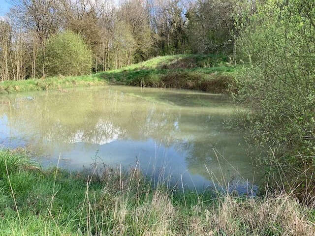 Terrain à ARGENTON-SUR-CREUSE