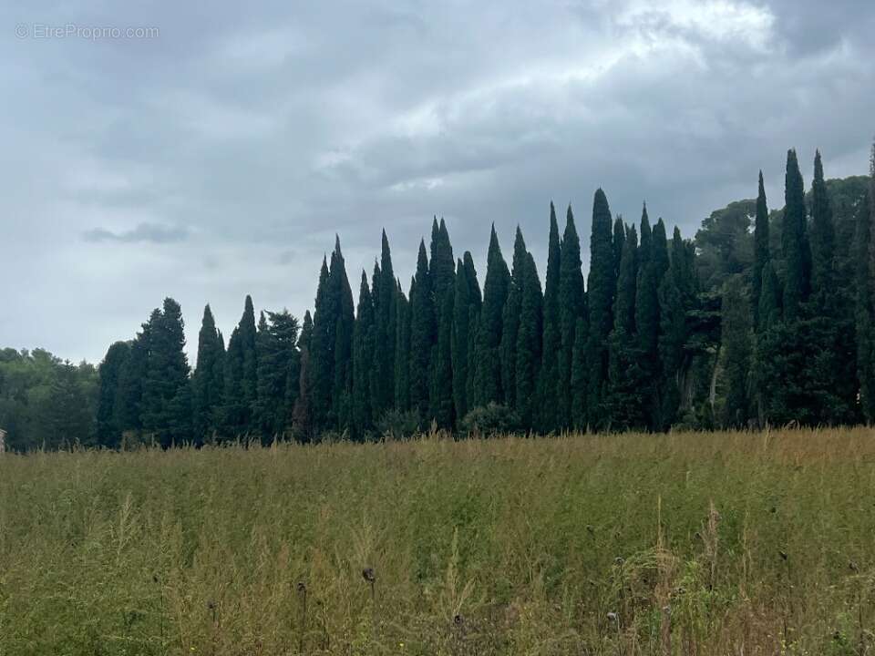 Terrain à SAINT-ETIENNE-DU-GRES