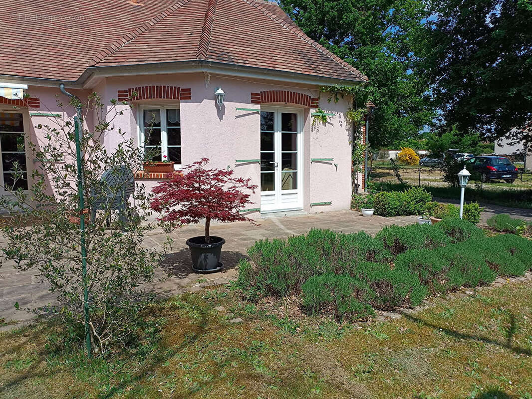 Maison à MENESTREAU-EN-VILLETTE