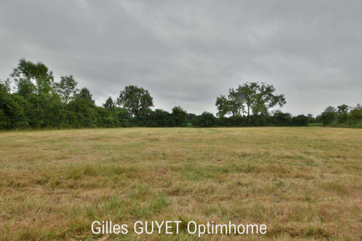 Terrain plat constructible de 5400M² 20MN de BERNAY, 35000€ - photo 3