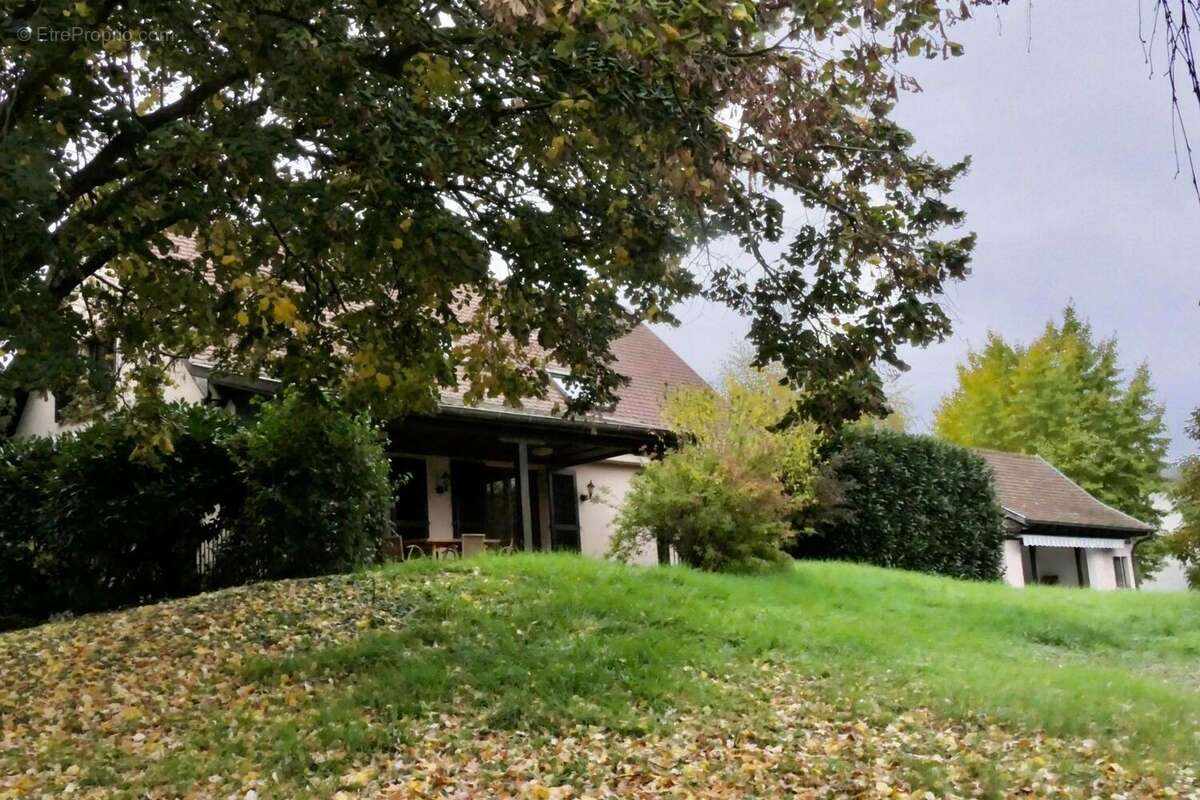 Photo 3 - Maison à COLMAR