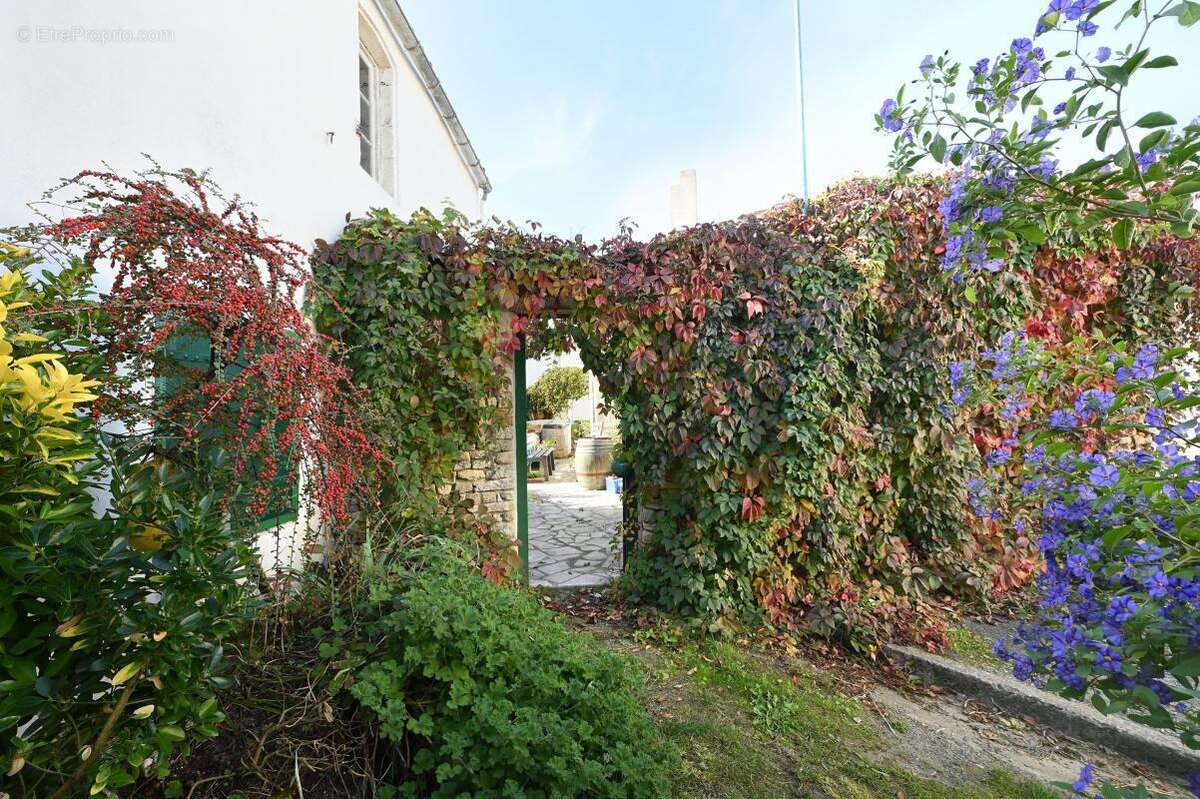 Maison à SAINT-CLEMENT-DES-BALEINES