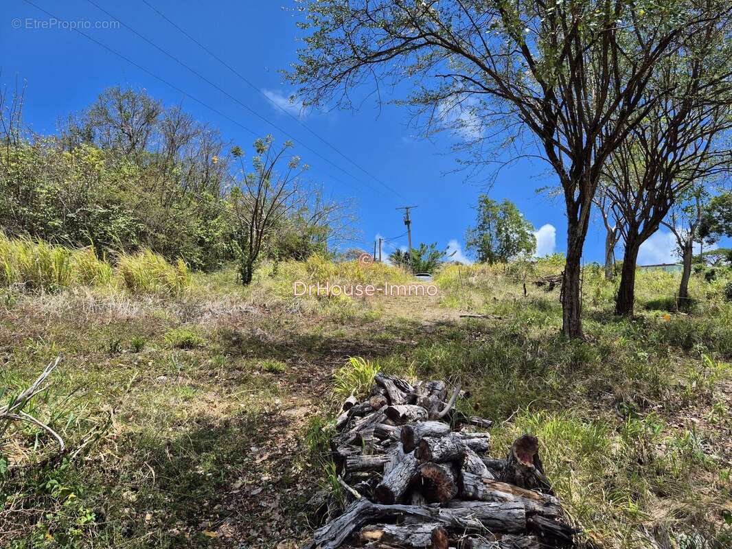 Terrain 644 m² à vendre à Le Marin (97290) - photo 6