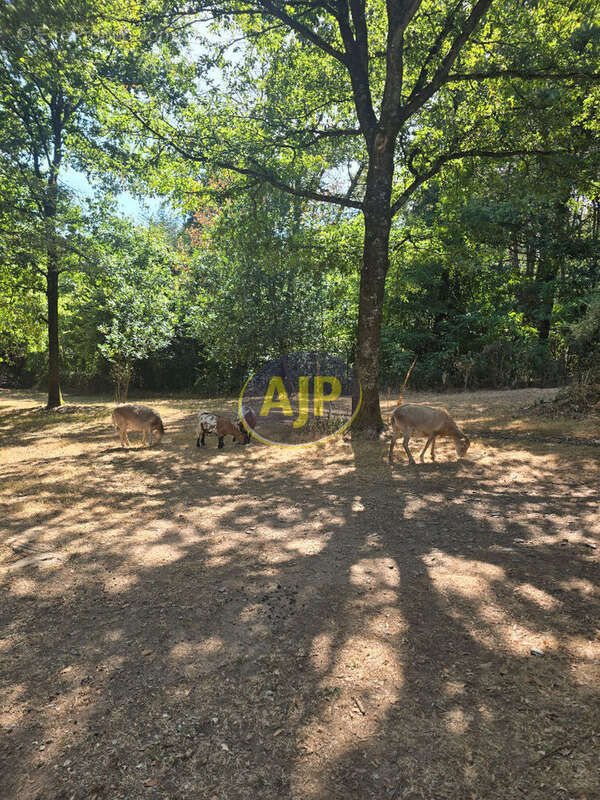 Ensemble GUEMENE-PENFAO Maison, dépendances sur  1 Hectare 4 de terrain - photo 14