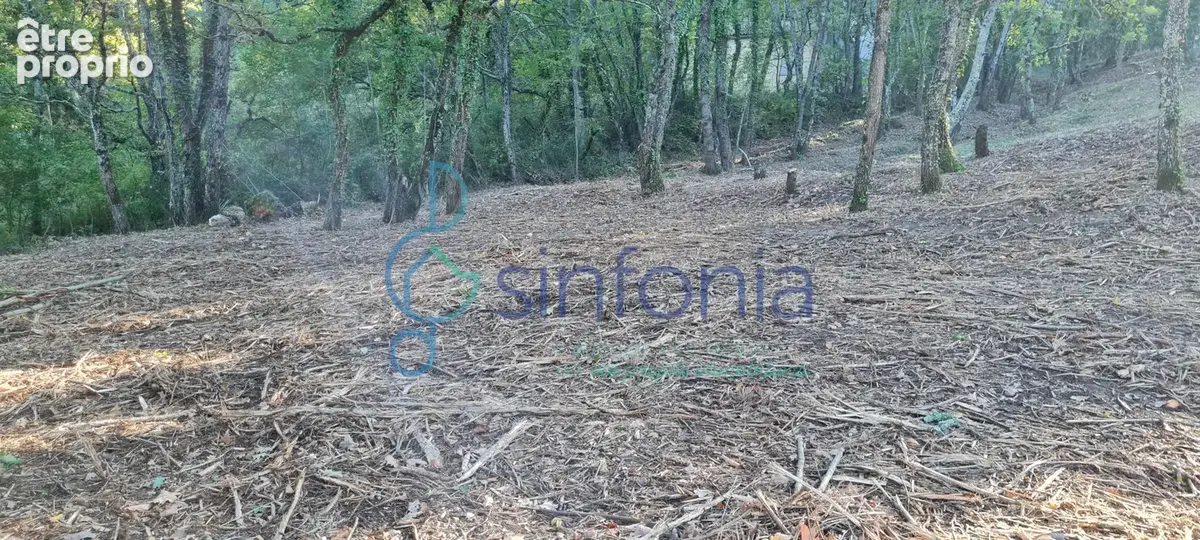 Proche Uzès et Bagnols, terrain constructible de 1500m2 à vendre à Pougnadoresse - photo 9