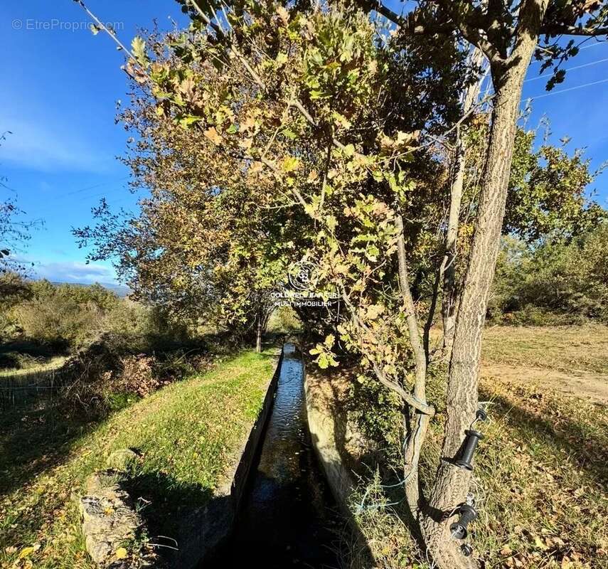 MAS de 295m2 Céret  vue Canigou sur près de 4 Ha - photo 15