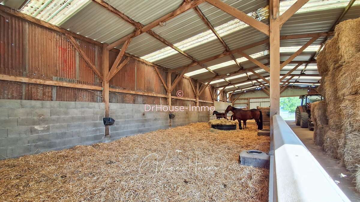 Maison 220 m² à Saint-Mars-Du-Desert  - photo 2