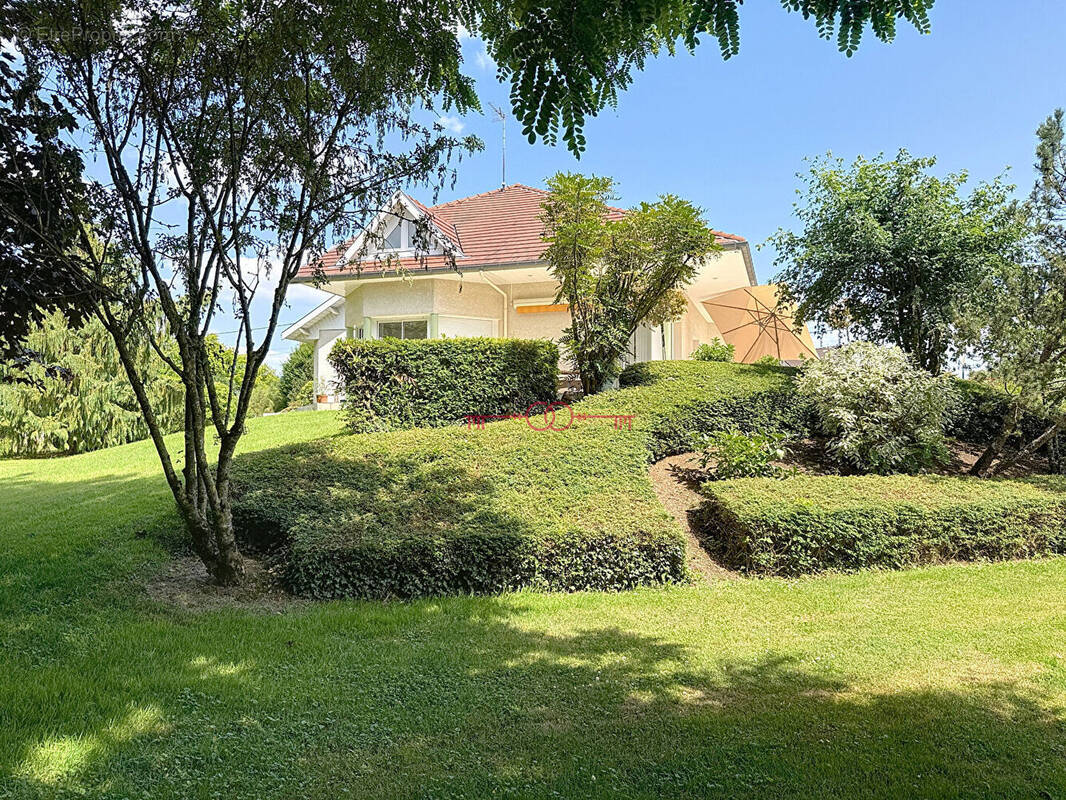 Maison à SAINTE-MENEHOULD