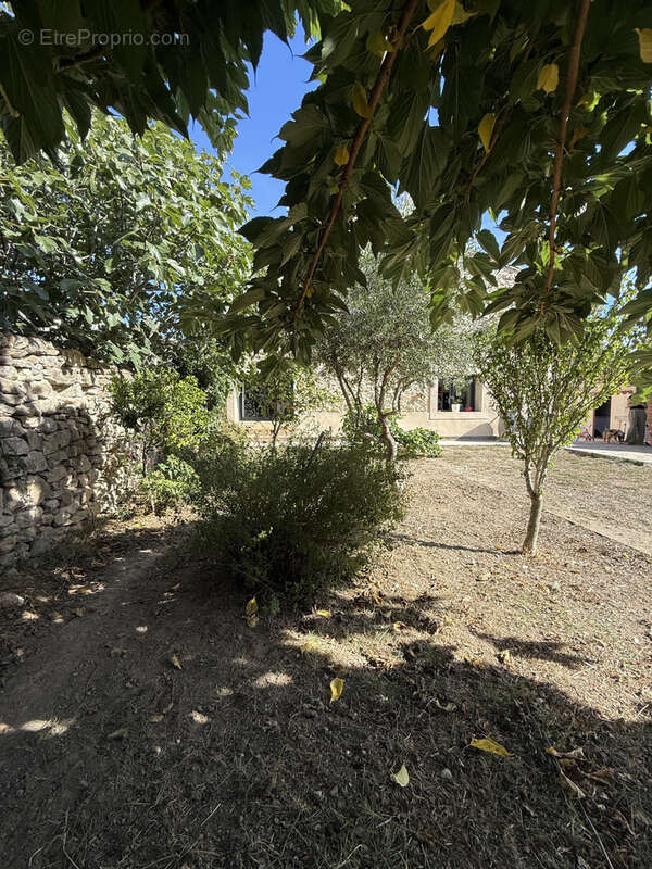 Maison à CAMPLONG-D&#039;AUDE