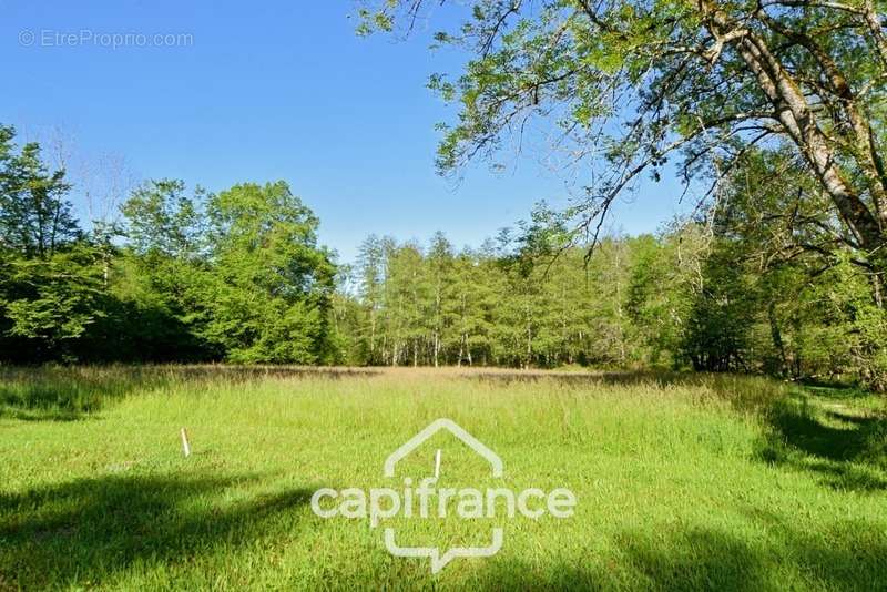 Maison à LA CHAUX-EN-BRESSE