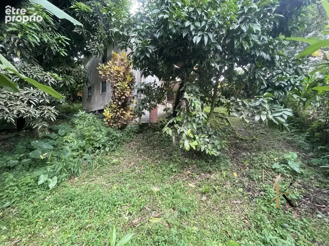 Maison 4 pièces 122 m² à vendre à Le Lamentin (97232) - photo 7