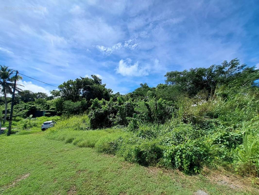 Terrain à LES TROIS-ILETS