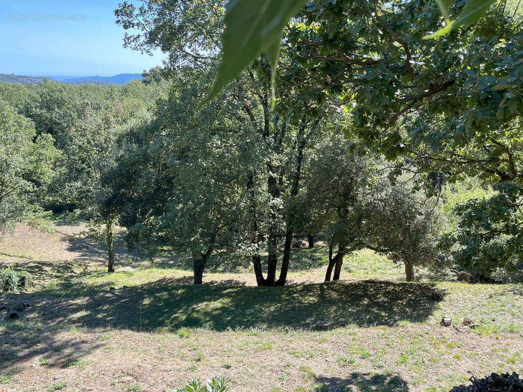 Maison à LA GARDE-FREINET