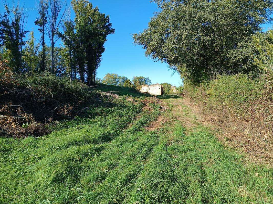 Terrain à MONTDURAUSSE